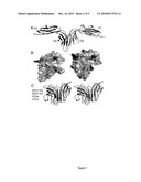 CRYSTAL STRUCTURE OF HUMAN GPVI AND APPLICATIONS THEREOF diagram and image