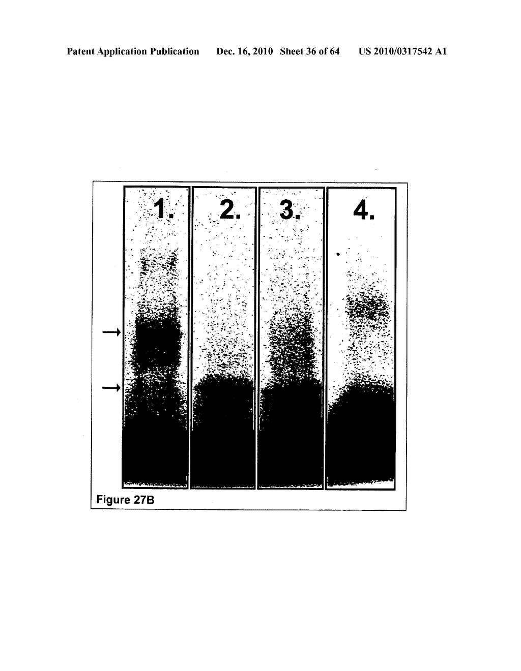 Methods For Detecting Biomarkers - diagram, schematic, and image 37