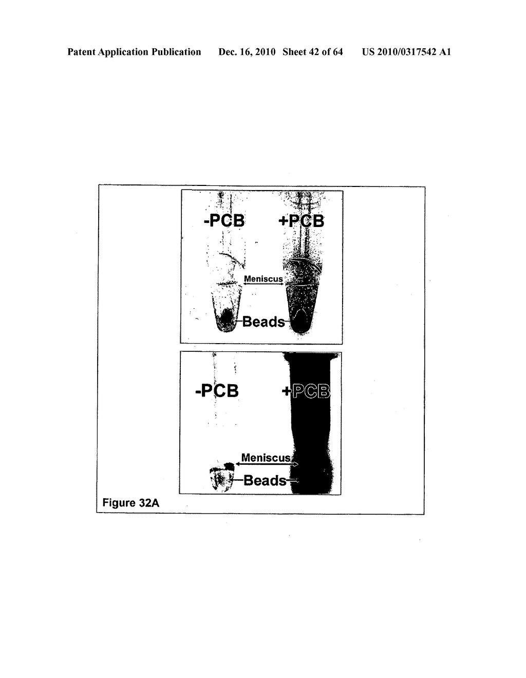 Methods For Detecting Biomarkers - diagram, schematic, and image 43