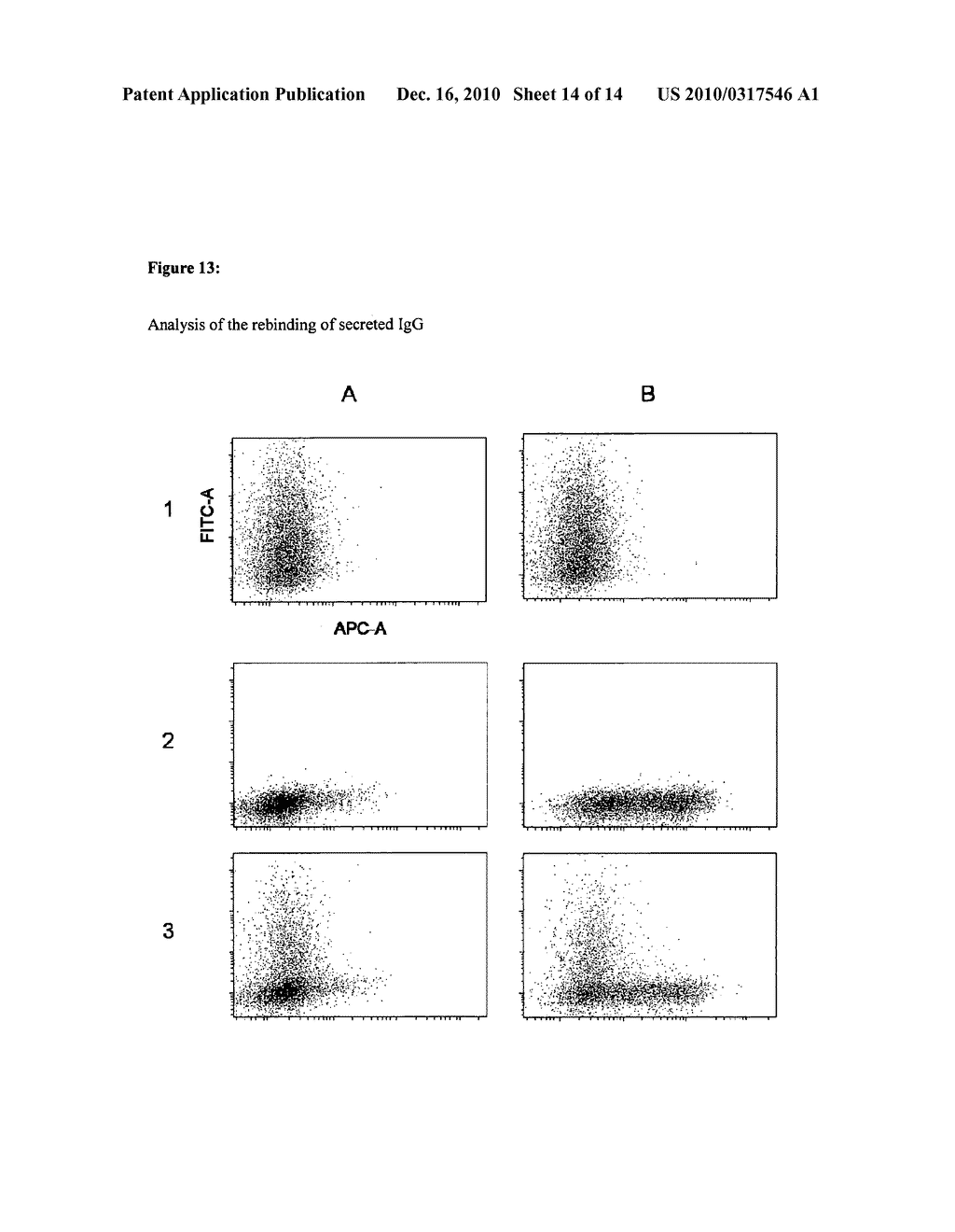 Display Vectors and Methods and Uses Thereof - diagram, schematic, and image 15