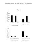 METHODS FOR MODULATING THE PROLIFERATION AND DIFFERENTIATION POTENTIAL OF STEM CELLS AND PROGENITOR CELLS diagram and image