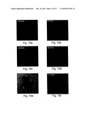 Casein Derived Peptides And Uses Thereof diagram and image