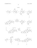 SULFONAMIDE INHIBITORS OF CARBONIC ANHYDRASE diagram and image