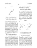 SUBSTITUTED PYRANO [2,3-B] PYRIDINAMINE COMPOUNDS AS BETA-SECRETASE MODULATORS AND METHODS OF USE diagram and image