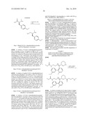 Renin Inhibitors diagram and image