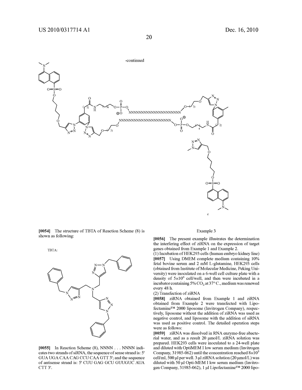 COMPLEX MOLECULE INTERFERING THE EXPRESSION OF TARGET GENES AND ITS PREPARING METHODS - diagram, schematic, and image 23