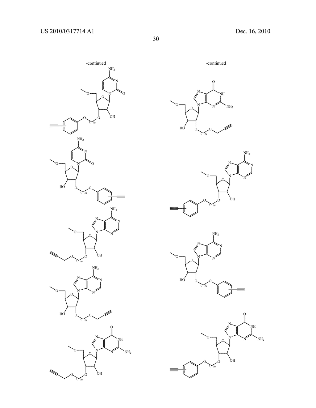 COMPLEX MOLECULE INTERFERING THE EXPRESSION OF TARGET GENES AND ITS PREPARING METHODS - diagram, schematic, and image 33