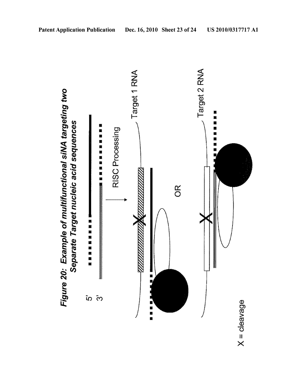 RNA INTERFERENCE MEDIATED INHIBITION OF PLATELET DERIVED GROWTH FACTOR (PDGF) AND PLATELET DERIVED GROWTH FACTOR RECEPTOR (PDGFR) GENE EXPRESSION USING SHORT INTERFERING NUCLEIC ACID (siNA) - diagram, schematic, and image 24