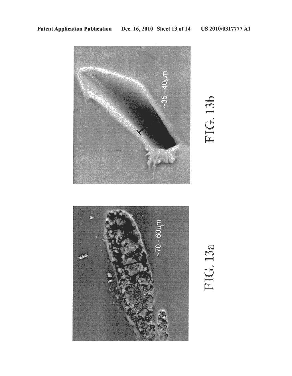 COMPOSITIONS CONTAINING BORANE OR CARBORANE CAGE COMPOUNDS AND RELATED APPLICATIONS - diagram, schematic, and image 14