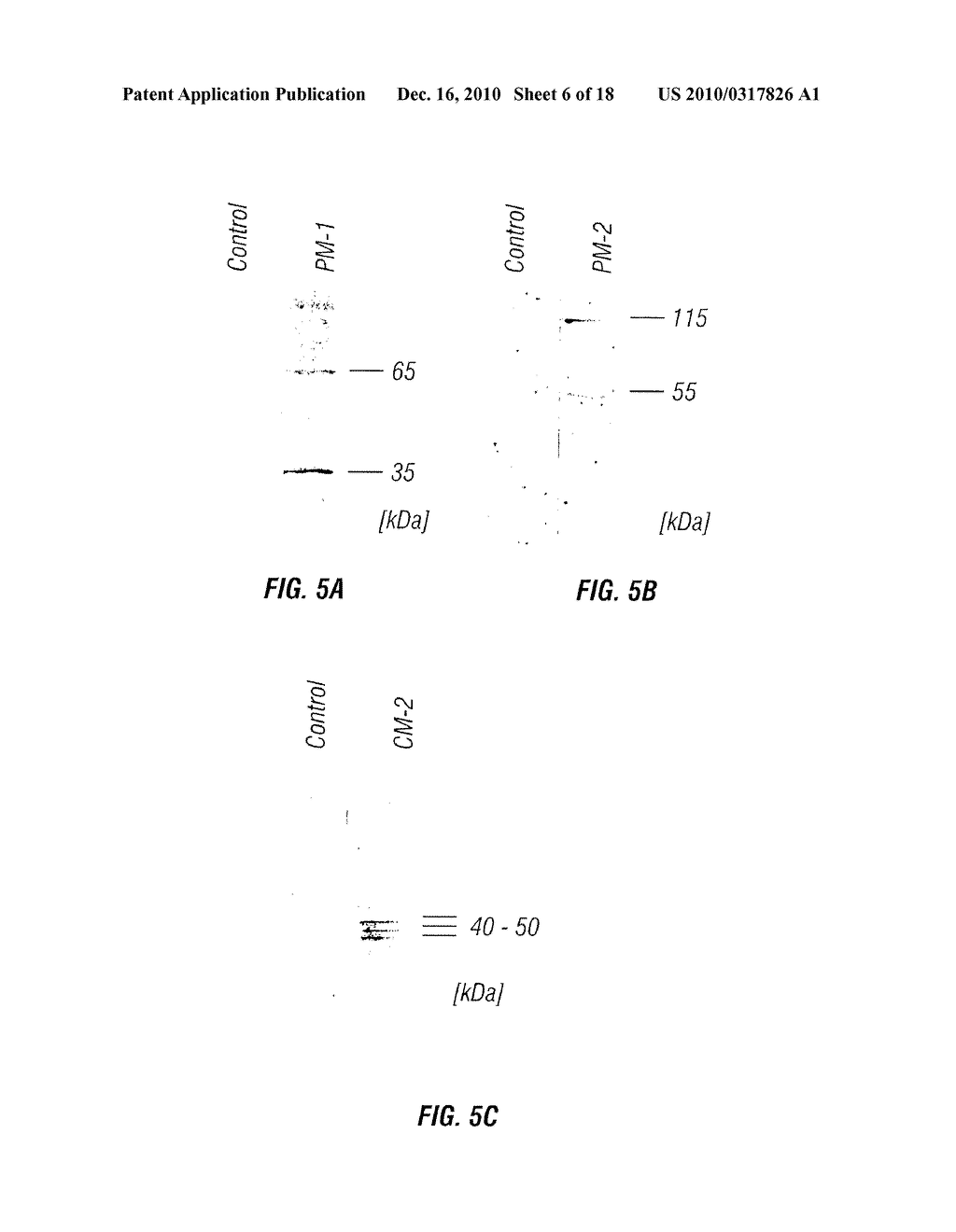 NEOPLASM SPECIFIC ANTIBODIES AND USES THEREOF - diagram, schematic, and image 07