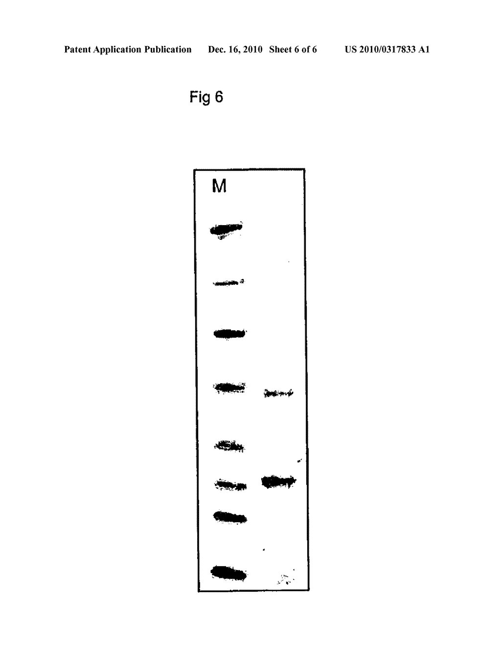 METHOD FOR THE PRODUCTION OF DRY FREE-FLOWING HYDROPHOBIN PREPARATIONS - diagram, schematic, and image 07