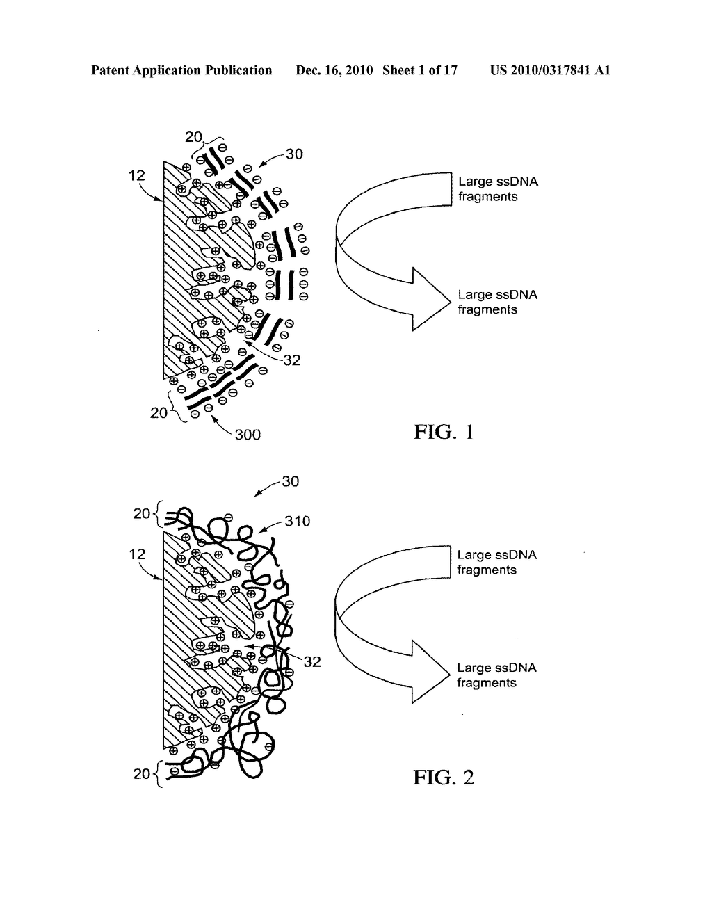 Polyelectrolyte-Coated Size-Exclusion Ion-Exchange Particles - diagram, schematic, and image 02