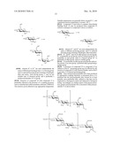 Production Of L-Iduronate Containing Polysaccharides diagram and image