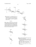 Production Of L-Iduronate Containing Polysaccharides diagram and image