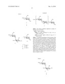 Production Of L-Iduronate Containing Polysaccharides diagram and image