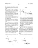 Production Of L-Iduronate Containing Polysaccharides diagram and image