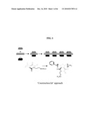 ANTIMICROBIAL POLYMERS diagram and image