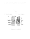 ANTIMICROBIAL POLYMERS diagram and image