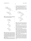 ULTRA-SENSITIVE CHEMILUMINESCENT SUBSTRATES FOR ENZYMES AND THEIR CONJUGATES diagram and image