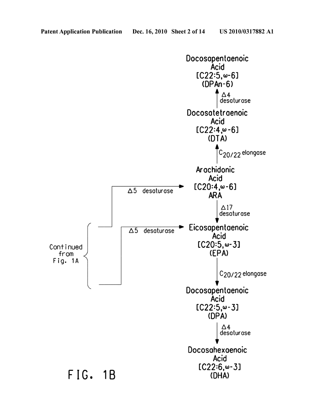 LONG CHAIN OMEGA-3 AND OMEGA-6 POLYUNSATURATED FATTY ACID BIOSYNTHESIS BY EXPRESSION OF ACYL-CoA LYSOPHOSPHOLIPID ACYLTRANSFERASES - diagram, schematic, and image 03