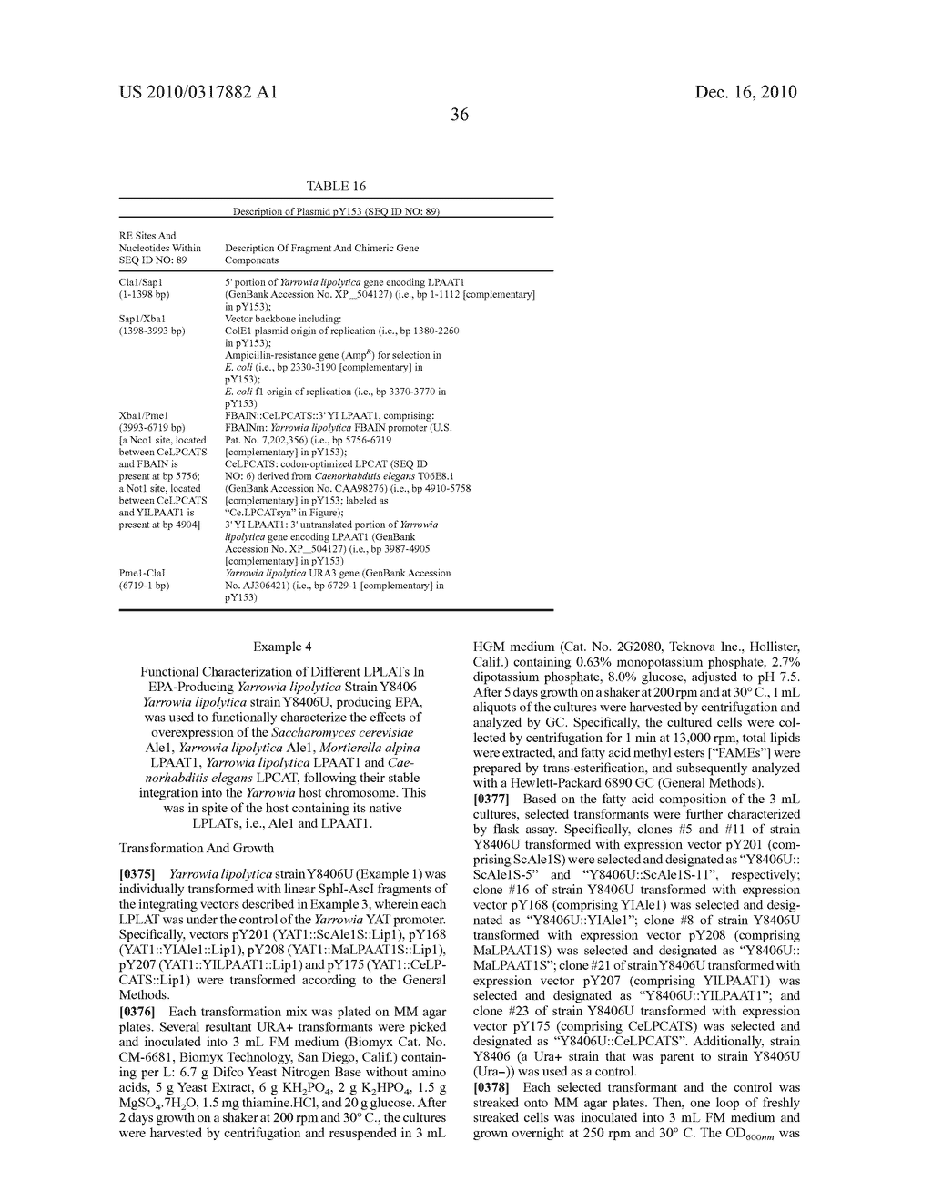 LONG CHAIN OMEGA-3 AND OMEGA-6 POLYUNSATURATED FATTY ACID BIOSYNTHESIS BY EXPRESSION OF ACYL-CoA LYSOPHOSPHOLIPID ACYLTRANSFERASES - diagram, schematic, and image 51