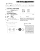 Hybrid-multimodal magneto-optical contrast markers diagram and image