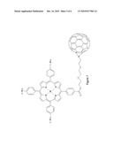 Hybrid-multimodal magneto-optical contrast markers diagram and image