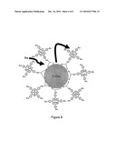 Hybrid-multimodal magneto-optical contrast markers diagram and image