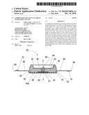 COMBINATION PAD AND PANTY SHIELD WITH RAISED CHANNEL diagram and image