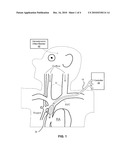 Venous Modulation of Collateral Perfusion of Cerebral Ischemia diagram and image