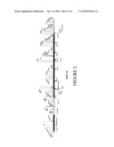 TRANSGENIC NON-HUMAN ANIMALS FOR PHARMACOLOGICAL AND TOXICOLOGICAL STUDIES diagram and image