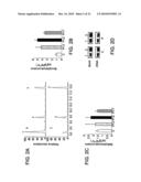 METHODS OF MODULATING PRODUCTION OF PHENYLPROPANOID COMPOUNDS IN PLANTS diagram and image