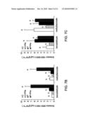 METHODS OF MODULATING PRODUCTION OF PHENYLPROPANOID COMPOUNDS IN PLANTS diagram and image