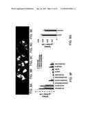 METHODS OF MODULATING PRODUCTION OF PHENYLPROPANOID COMPOUNDS IN PLANTS diagram and image