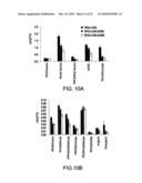 METHODS OF MODULATING PRODUCTION OF PHENYLPROPANOID COMPOUNDS IN PLANTS diagram and image