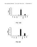 METHODS OF MODULATING PRODUCTION OF PHENYLPROPANOID COMPOUNDS IN PLANTS diagram and image