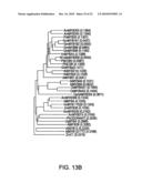 METHODS OF MODULATING PRODUCTION OF PHENYLPROPANOID COMPOUNDS IN PLANTS diagram and image