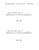 METHODS AND COMPOSITIONS FOR GENETIC TRANSFORMATION OF PLANT CHLOROPLASTS diagram and image