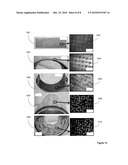 METHOD FOR MAKING MICROSTRUCTURED OBJECTS diagram and image