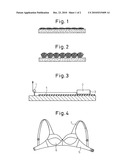 UNDERGARMENT diagram and image