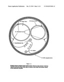 Internal Combustion (IC) Engine Head Assembly Combustion Chamber Multiple Spark Ignition (MSI) Fuel Savings Device and Methods of Fabrication Thereof diagram and image