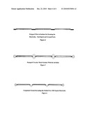 Internal Combustion (IC) Engine Head Assembly Combustion Chamber Multiple Spark Ignition (MSI) Fuel Savings Device and Methods of Fabrication Thereof diagram and image