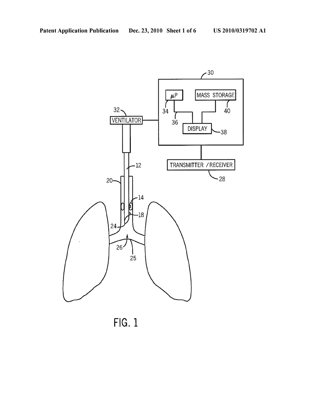 METHOD AND SYSTEM FOR DETERMINING TRACHEAL AND LOCATION INFORMATION FOR A TRACHEAL TUBE - diagram, schematic, and image 02