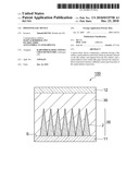 PHOTOVOLTAIC DEVICE diagram and image