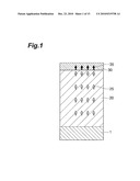 PHOTOVOLTAIC DEVICE diagram and image