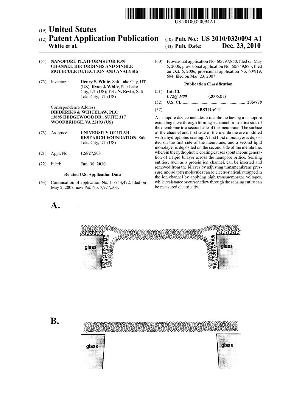 Nanopore Platforms for Ion Channel Recordings and Single Molecule Detection and Analysis - diagram, schematic, and image 01