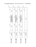 INFORMATION PROCESSING APPARATUS, PROGRAM, AND INFORMATION PROCESSING SYSTEM diagram and image