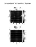 MAGNETOSTRICTIVE TRANSDUCER AND APPARATUS AND METHOD FOR MONITORING STRUCTURAL HEALTH USING THE SAME diagram and image