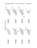 BIOLOGICAL SAMPLE IMAGE ACQUIRING APPARATUS, BIOLOGICAL SAMPLE IMAGE ACQUIRING METHOD, AND BIOLOGICAL SAMPLE IMAGE ACQUIRING PROGRAM diagram and image