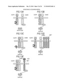 BIOLOGICAL SAMPLE IMAGE ACQUIRING APPARATUS, BIOLOGICAL SAMPLE IMAGE ACQUIRING METHOD, AND BIOLOGICAL SAMPLE IMAGE ACQUIRING PROGRAM diagram and image